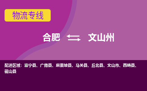 合肥到文山州物流公司-合肥到文山州专线-专人负责