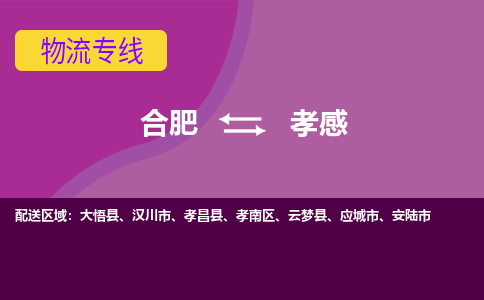 合肥到安陆市物流公司-合肥到安陆市专线-专人负责