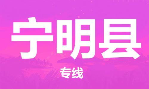 合肥到宁明县物流公司-合肥至宁明县物流专线-时效快运-省市县+乡镇+闪+送