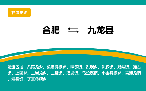 合肥到九龙县物流公司-合肥到九龙县专线-专人负责