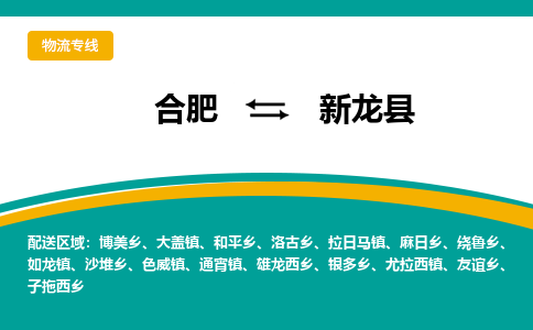 合肥到新龙县物流公司-合肥到新龙县专线-专人负责